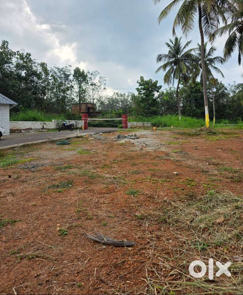 Residential plots for sale in Mannarkkad