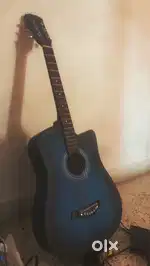 Acoustic Guitaar