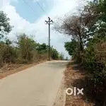 Agriculture Land Available