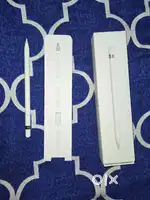 Apple 1st general pencil