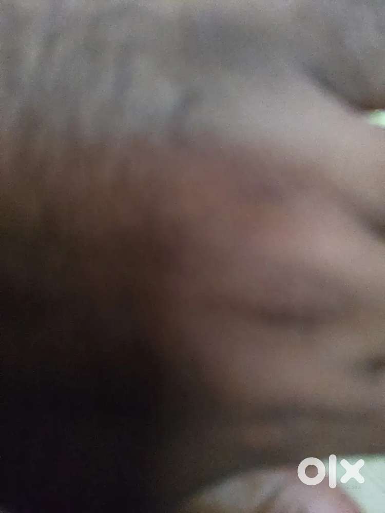 Experienced Porotta maker