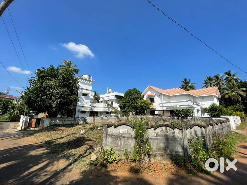 6 CENT COMMERCIAL PLOT MANNUTHY