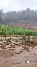 Agriculture land