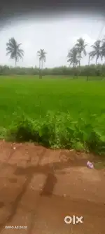Haleangadi : 15.75 Cents Land For Sale  Rs.4.25 laksvcents Rs. 66Lakhs