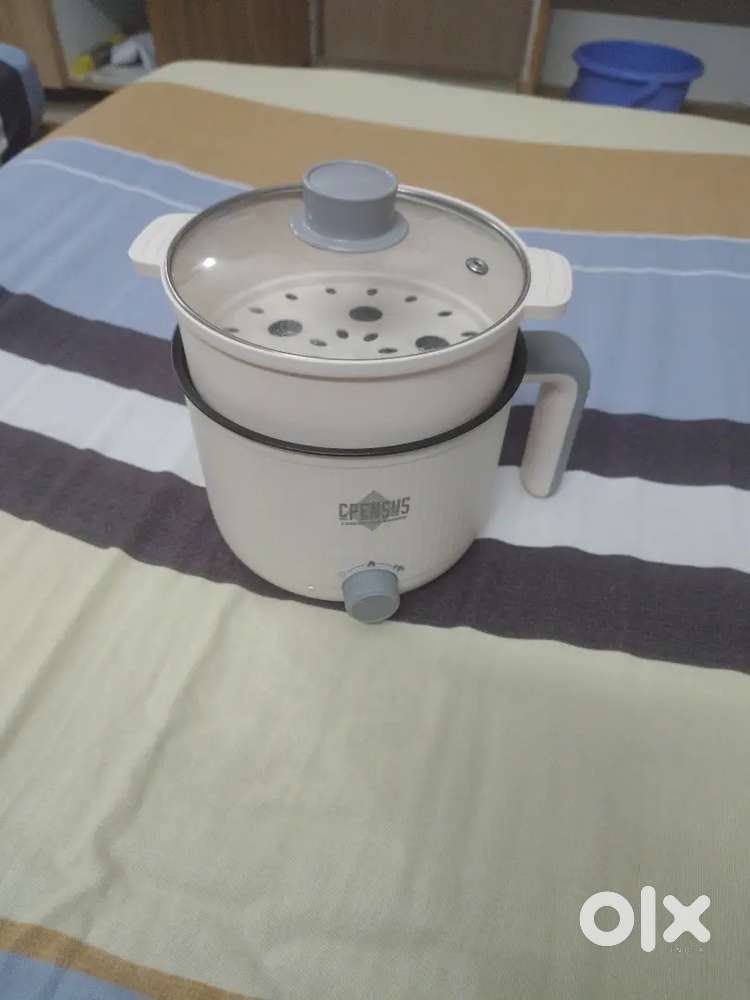 Multipurpose Electric Kettle