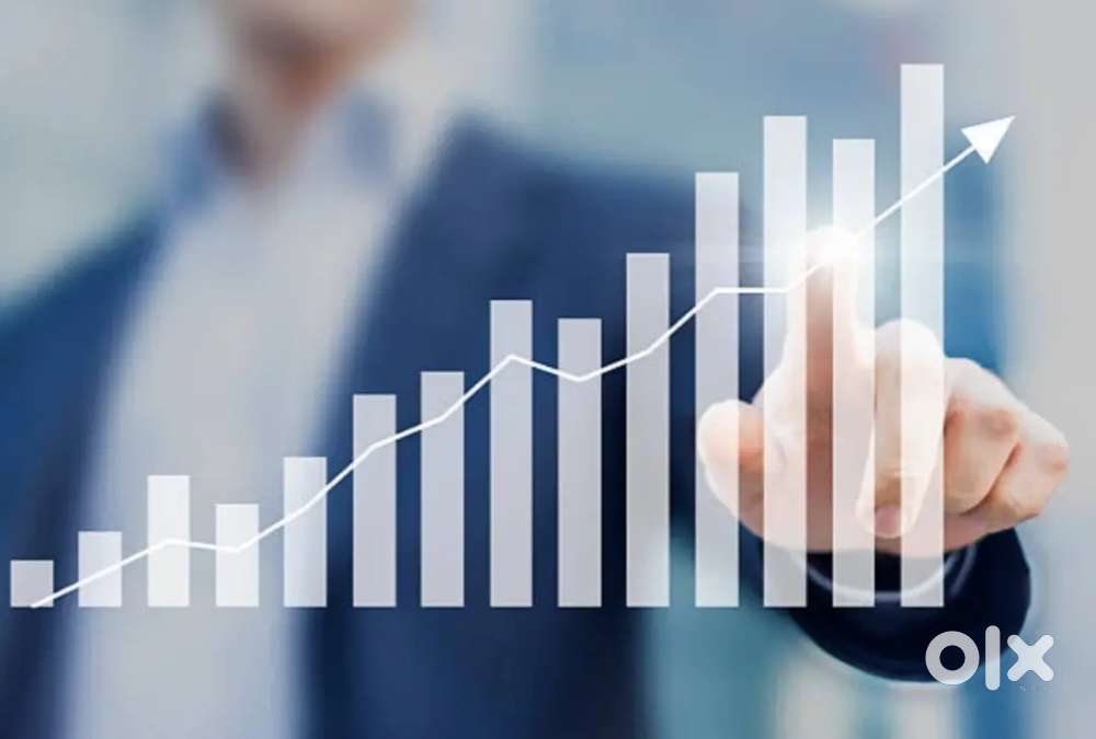 Sales executive work