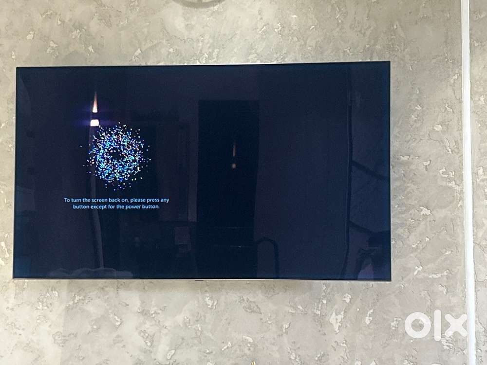 LG 65 Inch OLED TV smart tv