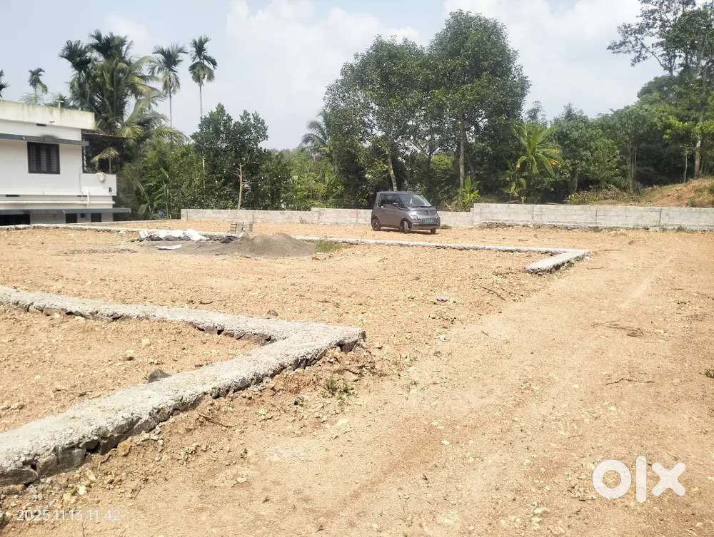 Chottanikkara Eruvely palace sguare area plot for sale