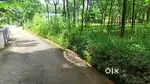 Prime Residential Plot Near Thodupuzha [12 cent approx]