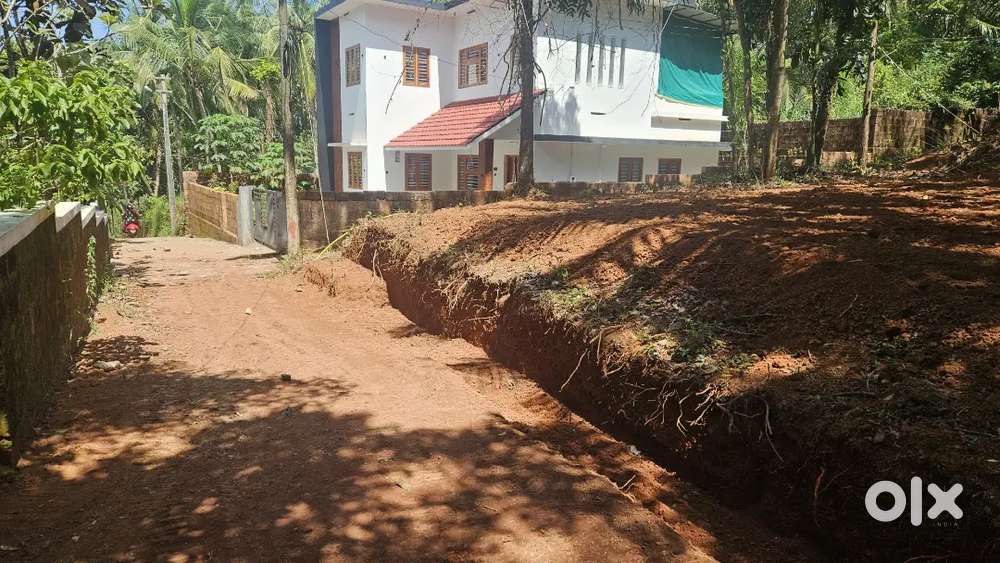 7 Cent plot thazhe chovva