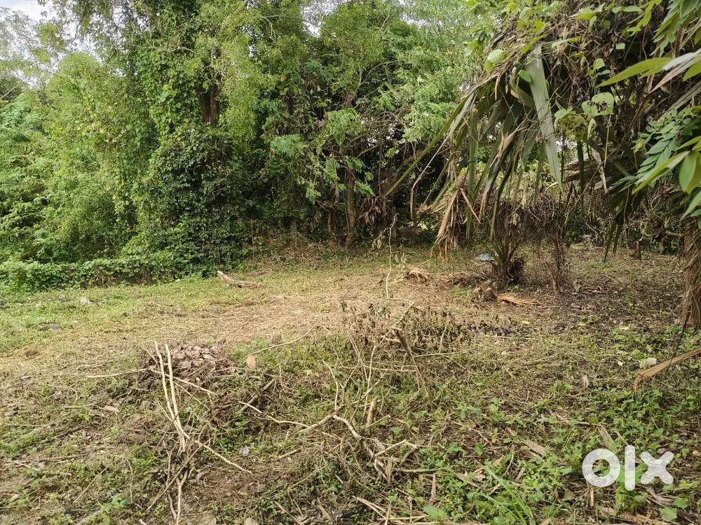 House plot, 10 cents paramb urgent for sale