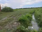 Land for  Sale  32lakh/bigha