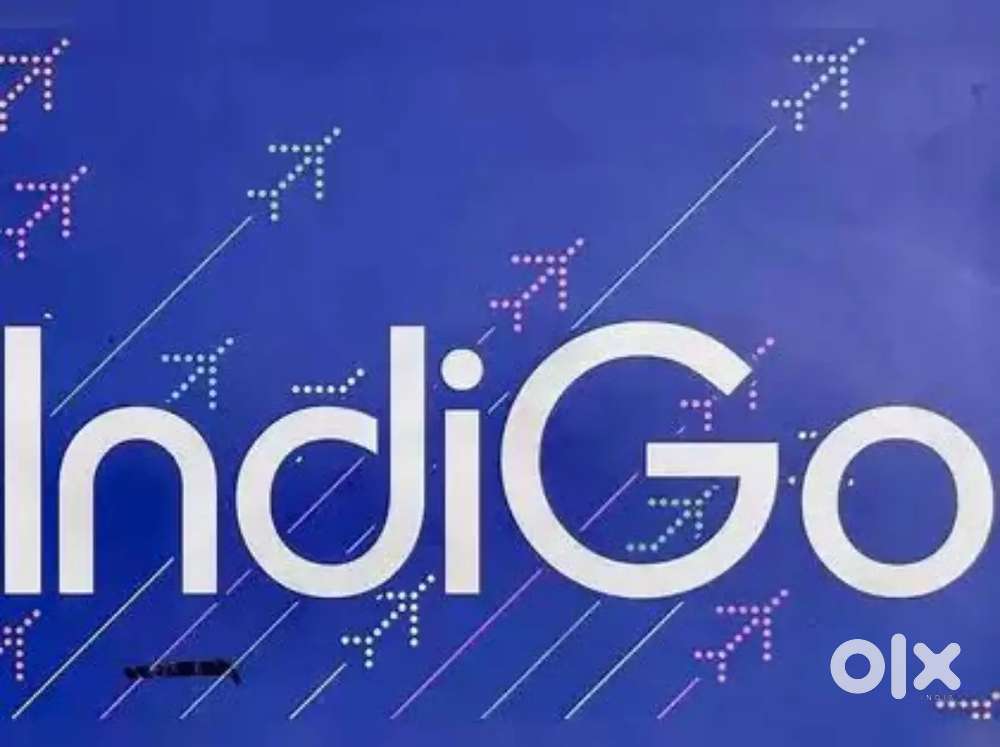 Domestic/International Airport Ground Staff Jobs in Indigo Airlines