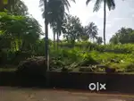 1 Acre 15 Cents in Manjadi, Palakkad District, Kuzhalmannam