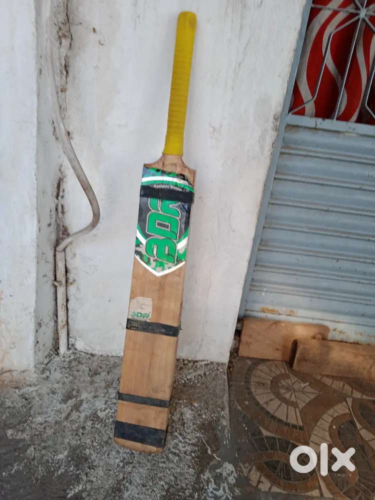 cricket bat