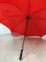 Big big umbrella