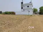Kanchikacherla daggara gottumukkala village lo open plots  available