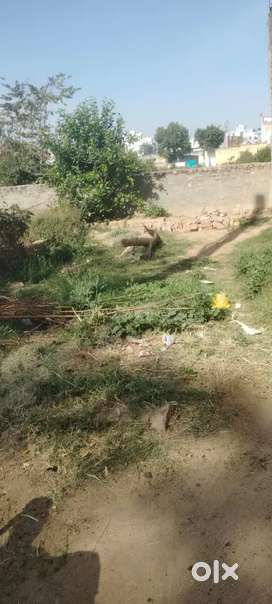 21000 rupe gaj    Lampur village near mcd primary school