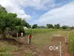 600 yards main road bit huzurabad,godishala village,from warangal 38km