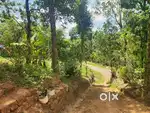 85 cent commercial land with a house for sale@WAYANAD