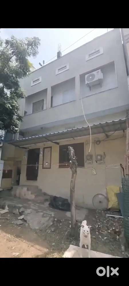 Padamara facing, Perfect document