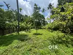14 cent /residential  land /Cent/4.25 lakhs /Aluva Chowara