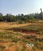 House plots for sale at Para, Palakkad