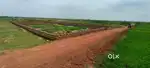 Yellow zone and gharabari plot for sale in Bhubaneswar