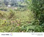 B memo land for sale