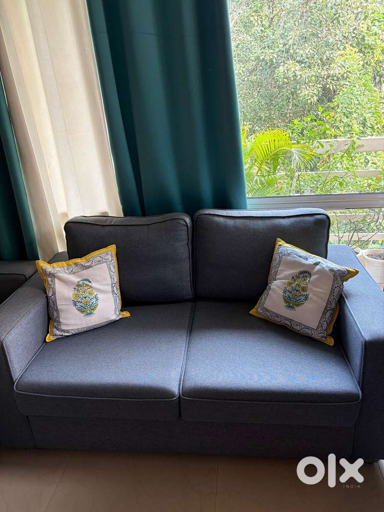2 seater wakefit sofa
