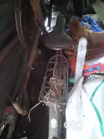 হারকিউলিস ক্যাপ্টেন সাইকেল
