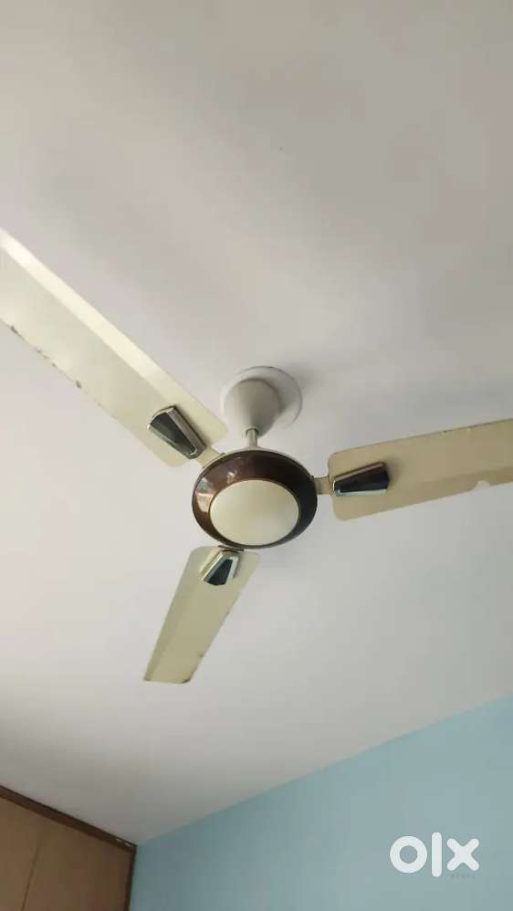 Celling Fan
