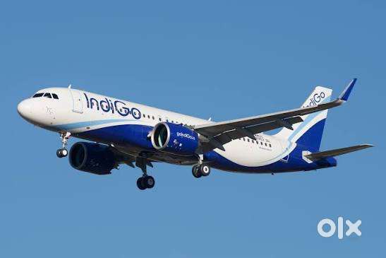 Urgent Requirement For Ground Staff Jobs In IndiGo Airlines
