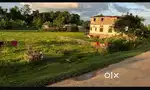 3 Khata Commercial Land in Back side of new DC Office Silchar