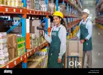 Warehouse job
