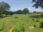 Open space for fram or rent