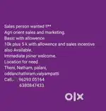 Sales executive