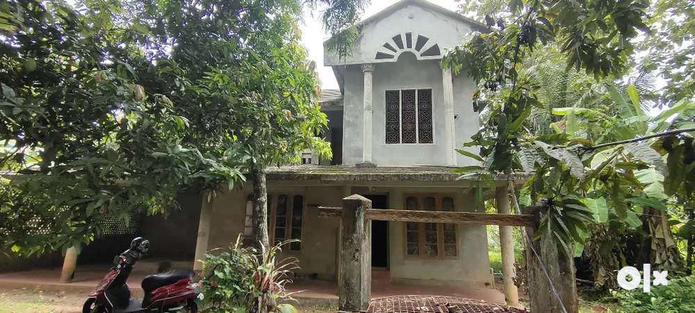 Kollam Chathannoor Kochalummoodu jun dis 150 metre 13 cent 3500 house