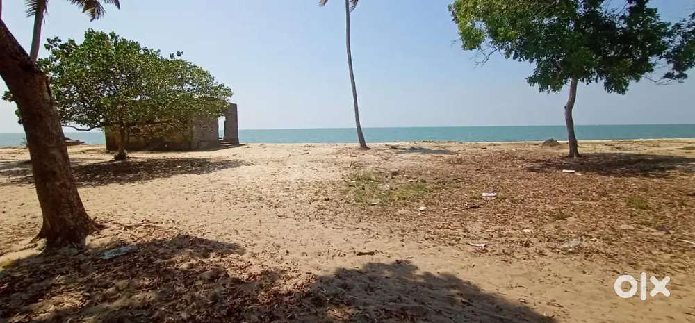 Beach side 250cent purayidam for sale at alappuzha pathirapilly