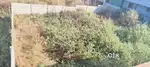 Vaibhav Nagar opposite Madani School land available on rent 2700sft