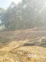 Best location m st or general plot