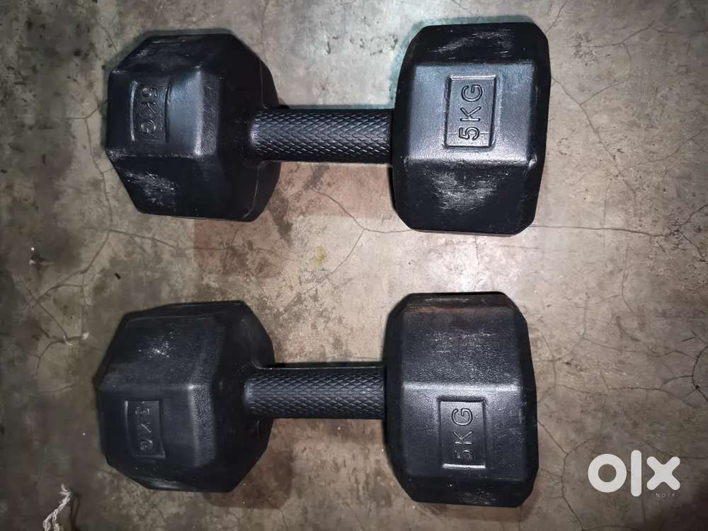 Home Gym Dumbbell 5Kgs x 2Pcs. And Double spring steel tummy trimmer