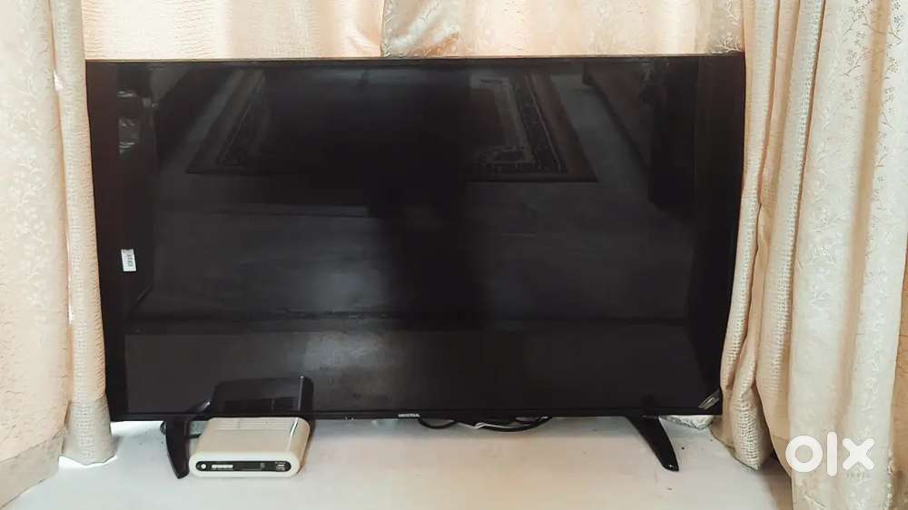 Television