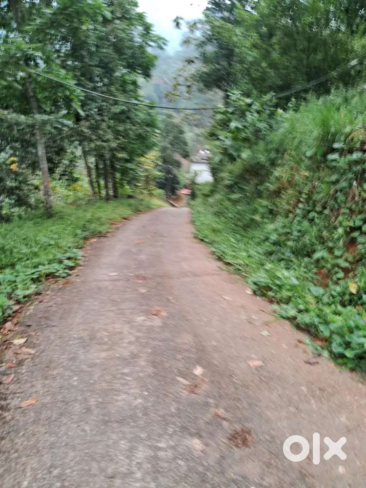 Residential/Homestay Plot – 20 Cent