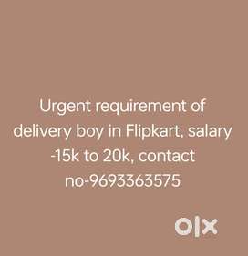 Delivery boy