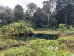 3 ACRE FARM/AGRICULTURE LAND