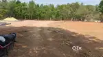 2 Acres Agriculture land for sale,Red Soil,Square BIT, BT Road 2nd BIT