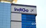 Domestic/International Airport jobs ground staff/ticketing /cabin crew