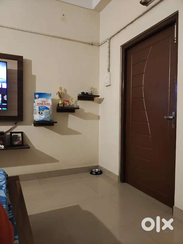 Hiring: Household Helper + Dog Caretaker