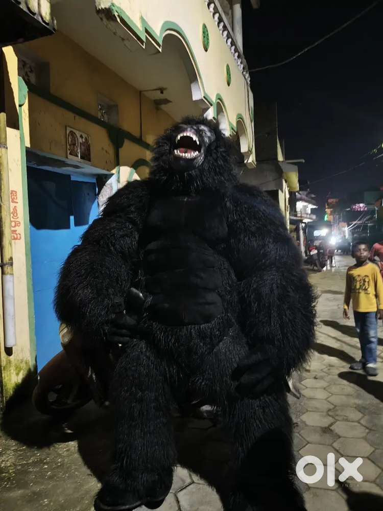 Gorilla bbsr